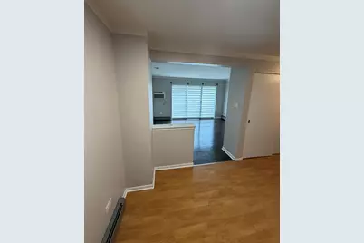 119 Cliff Street #2w, Willow Springs, IL 60480 - Photo 6