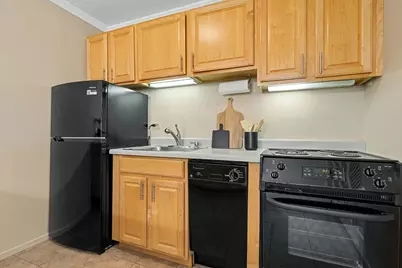 1419 N State Parkway #605, Chicago, IL 60610 - Photo 14