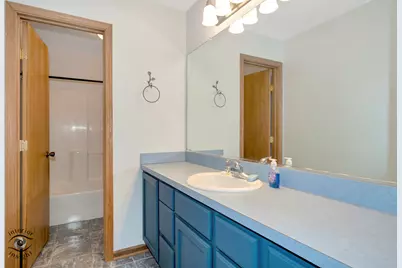 319 Mallards Cove, Beecher, IL 60401 - Photo 20