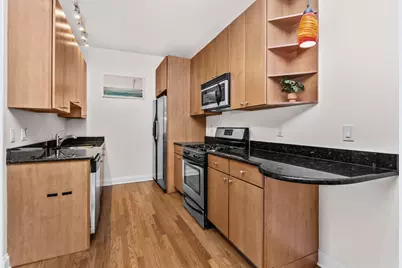 839 N Washtenaw Avenue #2, Chicago, IL 60622 - Photo 8