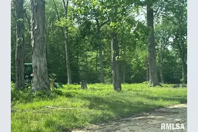 3551 (Lot 10) Ridge Crest Drive, Mt Vernon, IL 62864 - Photo 2