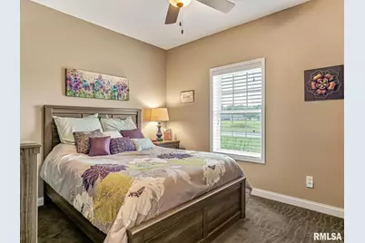 432 Indian Trail Drive, Pinckneyville, IL 62274 - Photo 20