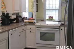 195 E Market St, Elizabethtown, IL 62931 - Photo 20