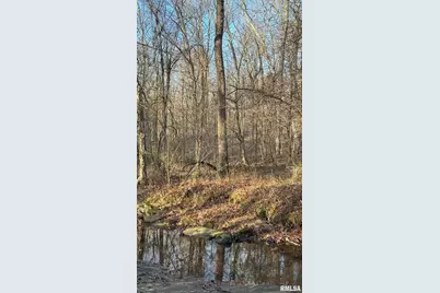 000 Route 166, Creal Springs, IL 62922 - Photo 30