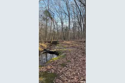 000 Route 166, Creal Springs, IL 62922 - Photo 28