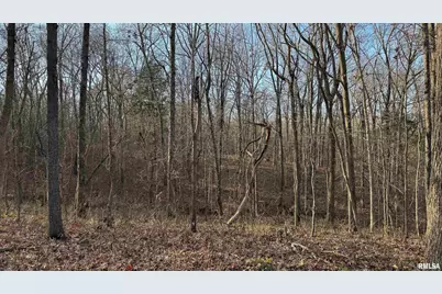 000 Route 166, Creal Springs, IL 62922 - Photo 36