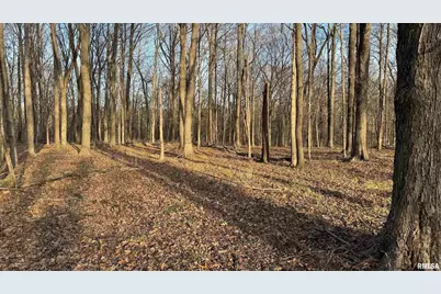 000 Route 166, Creal Springs, IL 62922 - Photo 42