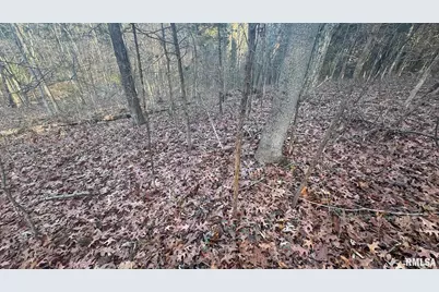 000 Route 166, Creal Springs, IL 62922 - Photo 52