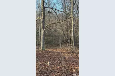 000 Route 166, Creal Springs, IL 62922 - Photo 32