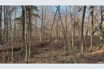 000 Route 166, Creal Springs, IL 62922 - Photo 26