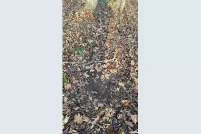 000 Route 166, Creal Springs, IL 62922 - Photo 46