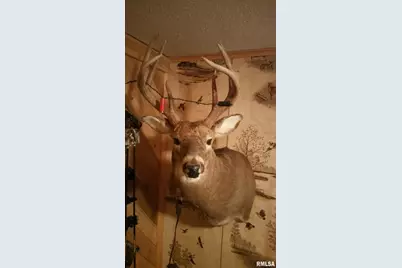 000 Route 166, Creal Springs, IL 62922 - Photo 8