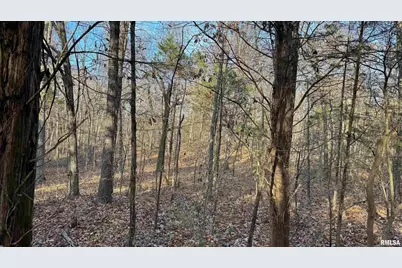 000 Route 166, Creal Springs, IL 62922 - Photo 20