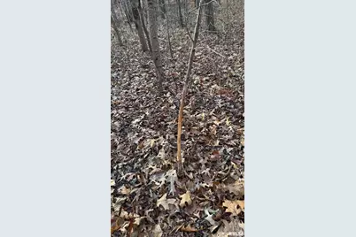 000 Route 166, Creal Springs, IL 62922 - Photo 48