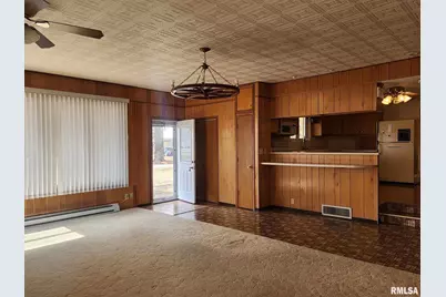 300 N 8th Street, Earlville, IL 62932 - Photo 26