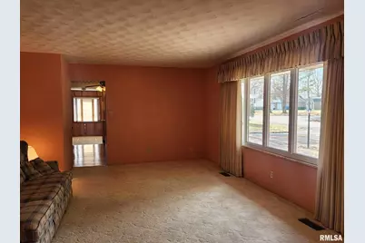 300 N 8th Street, Earlville, IL 62932 - Photo 16