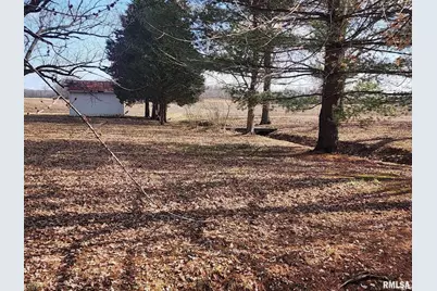 300 N 8th Street, Earlville, IL 62932 - Photo 12