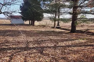 300 N 8th St, Earlville, IL 62932 - Photo 12