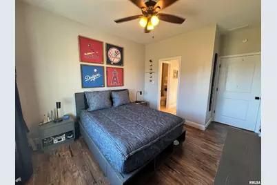 3024 Wabash 12 Avenue, Mount Carroll, IL 62863 - Photo 44