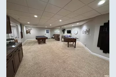 3024 Wabash 12 Avenue, Mount Carroll, IL 62863 - Photo 50