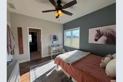 3024 Wabash 12 Avenue, Mount Carroll, IL 62863 - Photo 38