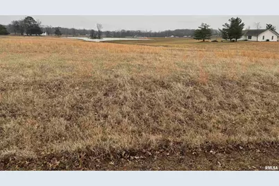 Lot 13 Dove Lane, Eldorado, IL 62930 - Photo 2
