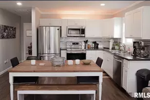 490 Beech Hollow Rd, Harrisburg, IL 62946 - Photo 2