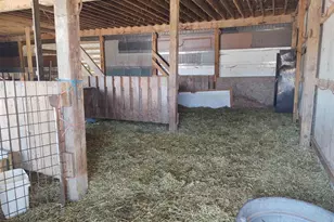 425 Pioneer Ln, Vienna, IL 62995 - Photo 36