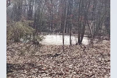 425 Pioneer Lane, Vienna, IL 62995 - Photo 48