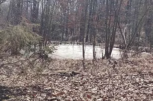 425 Pioneer Ln, Vienna, IL 62995 - Photo 48