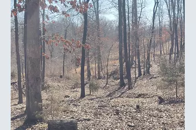 425 Pioneer Lane, Vienna, IL 62995 - Photo 50