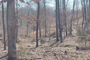 425 Pioneer Ln, Vienna, IL 62995 - Photo 50