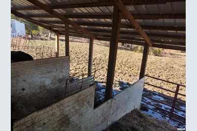 425 Pioneer Lane, Vienna, IL 62995 - Photo 32