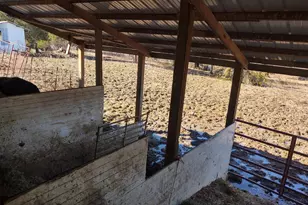 425 Pioneer Ln, Vienna, IL 62995 - Photo 32