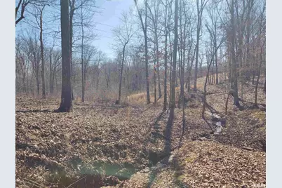 425 Pioneer Lane, Vienna, IL 62995 - Photo 52