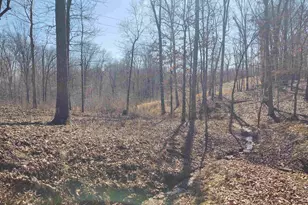 425 Pioneer Ln, Vienna, IL 62995 - Photo 52