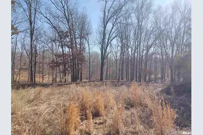 425 Pioneer Lane, Vienna, IL 62995 - Photo 38