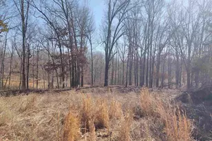 425 Pioneer Ln, Vienna, IL 62995 - Photo 38