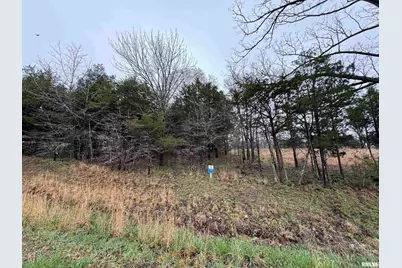 Lot 365&366 Clifty Lane, Orangeville, IL 62939 - Photo 6