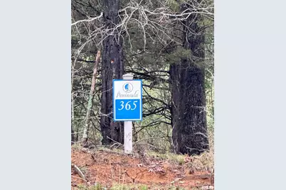 Lot 365&366 Clifty Lane, Orangeville, IL 62939 - Photo 8