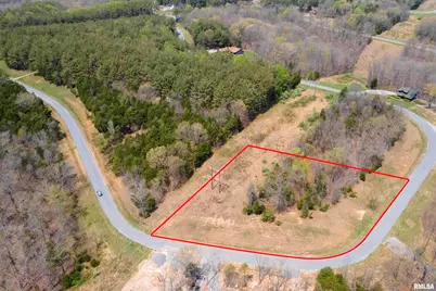 Lot 365&366 Clifty Lane, Orangeville, IL 62939 - Photo 2