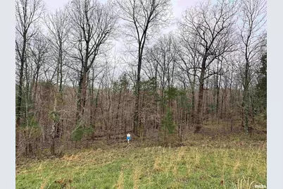 Lot 341&342 Clifty Lane, Orangeville, IL 62939 - Photo 4