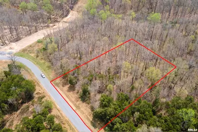 Lot 341&342 Clifty Lane, Orangeville, IL 62939 - Photo 2