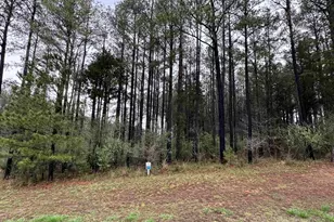 Lot 122 123 Deer Ln, Orangeville, IL 62939 - Photo 1