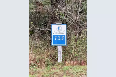 Lot 122&123 Deer Lane, Orangeville, IL 62939 - Photo 4