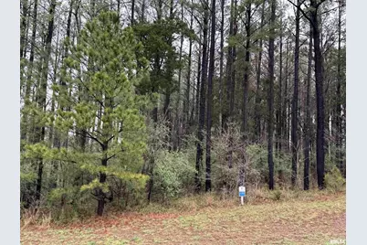 Lot 122&123 Deer Lane, Orangeville, IL 62939 - Photo 2