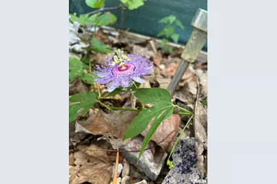 315 W Furlong Street, Carrier Mills, IL 62917 - Photo 34