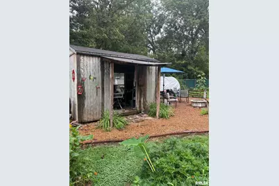 315 W Furlong Street, Carrier Mills, IL 62917 - Photo 30