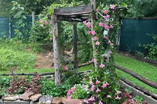 315 W Furlong St, Carrier Mills, IL 62917 - Photo 18