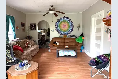 315 W Furlong Street, Carrier Mills, IL 62917 - Photo 2